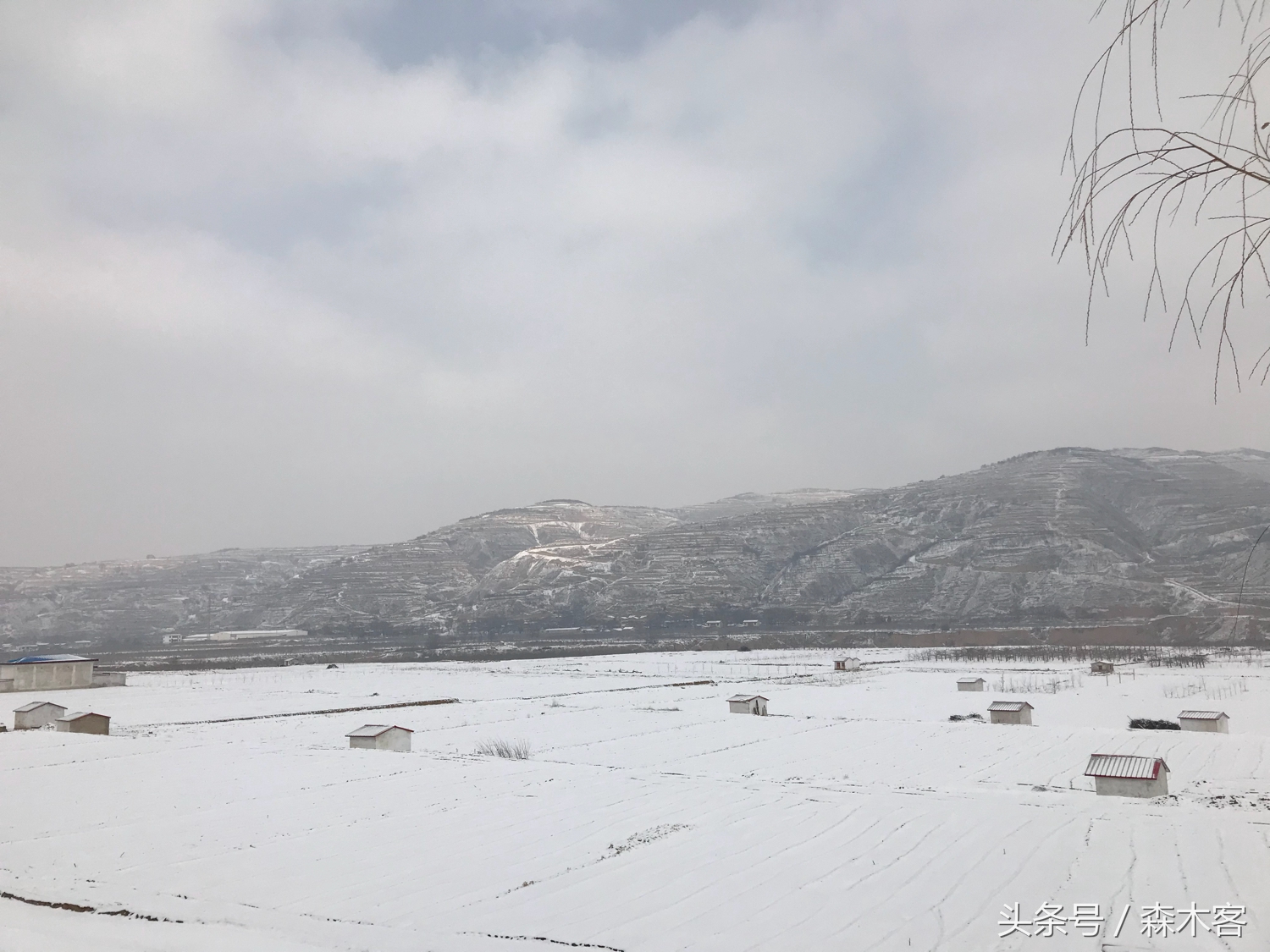 大雪后的城市美得一踏糊涂那么大雪后的西部高原是怎么样的呢