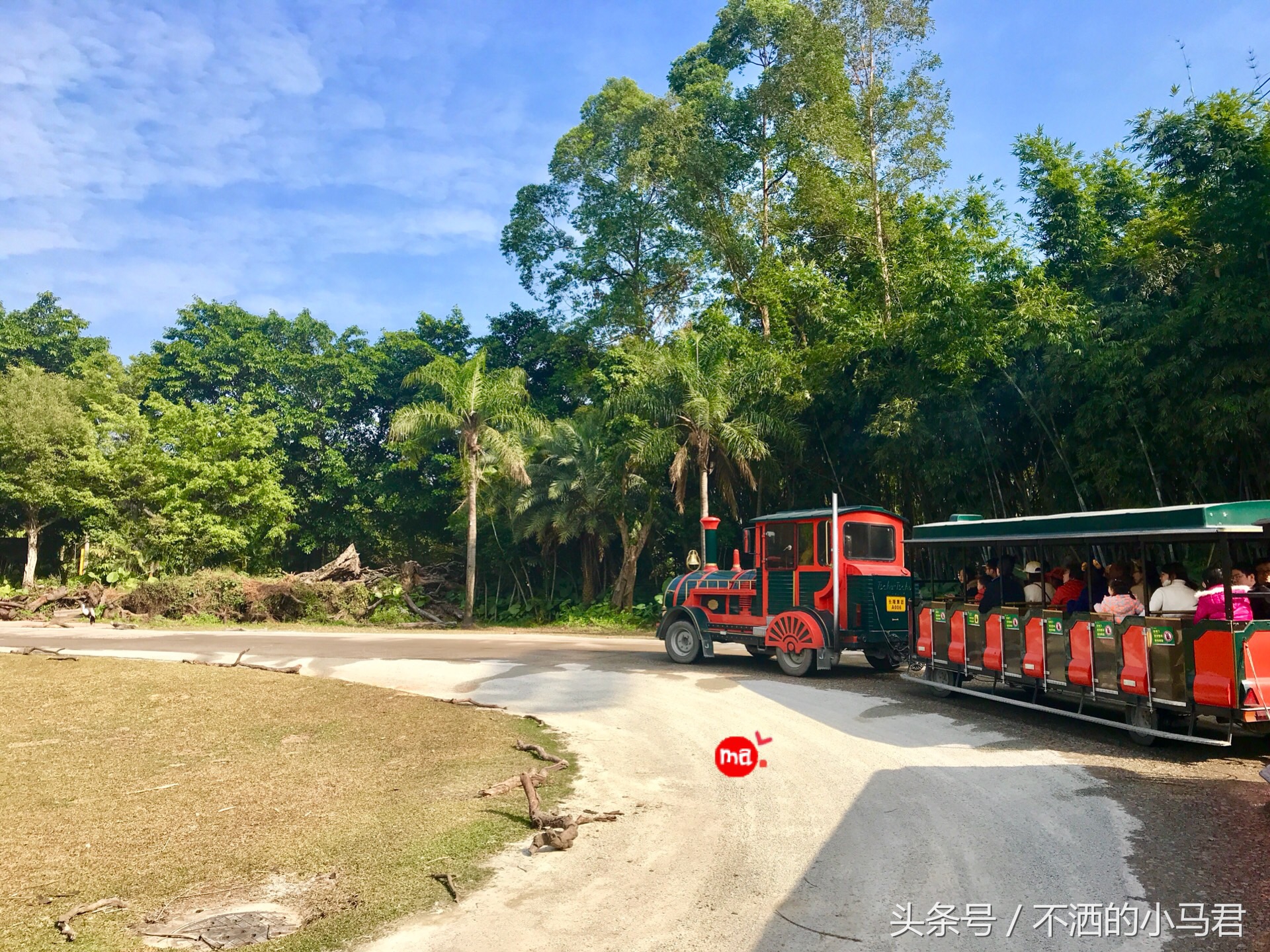 长隆野生动物园3天2晚亲子游,广州长隆野生动物园亲子游攻略