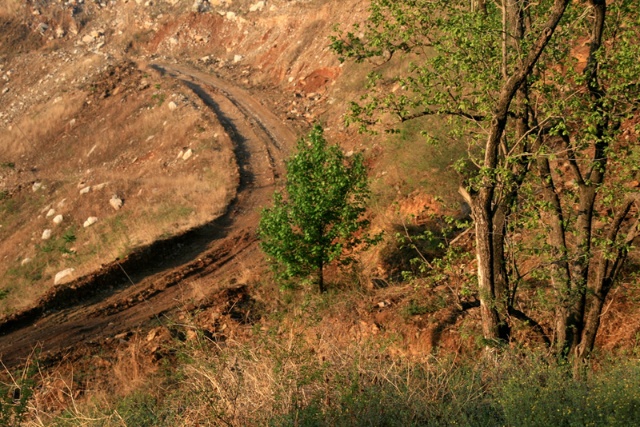 “娃拐子”拍小孩头，小孩就跟着他走