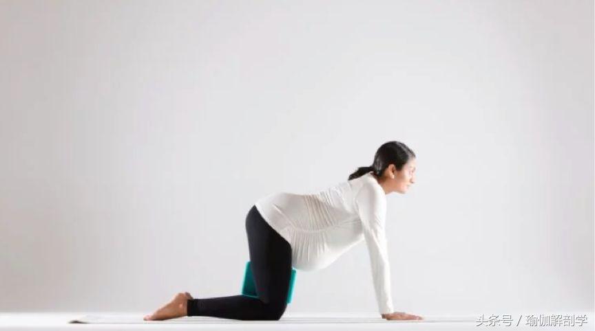 产后骨盆前倾瑜伽动作,缓解孕期骨盆痛的瑜伽动作