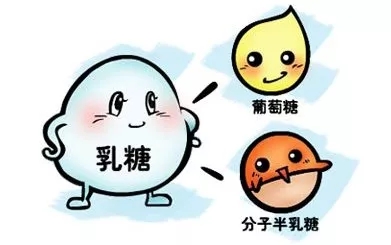 宝宝米粉问题解析,小孩辅食米粉配料