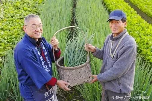 日本农业强国,日本是农业强国吗