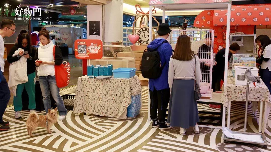 养蛙不如吸猫，这个冬*你日**准备好画板了吗