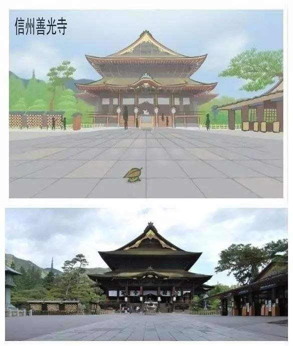 一只蛙的视频,一只蛙