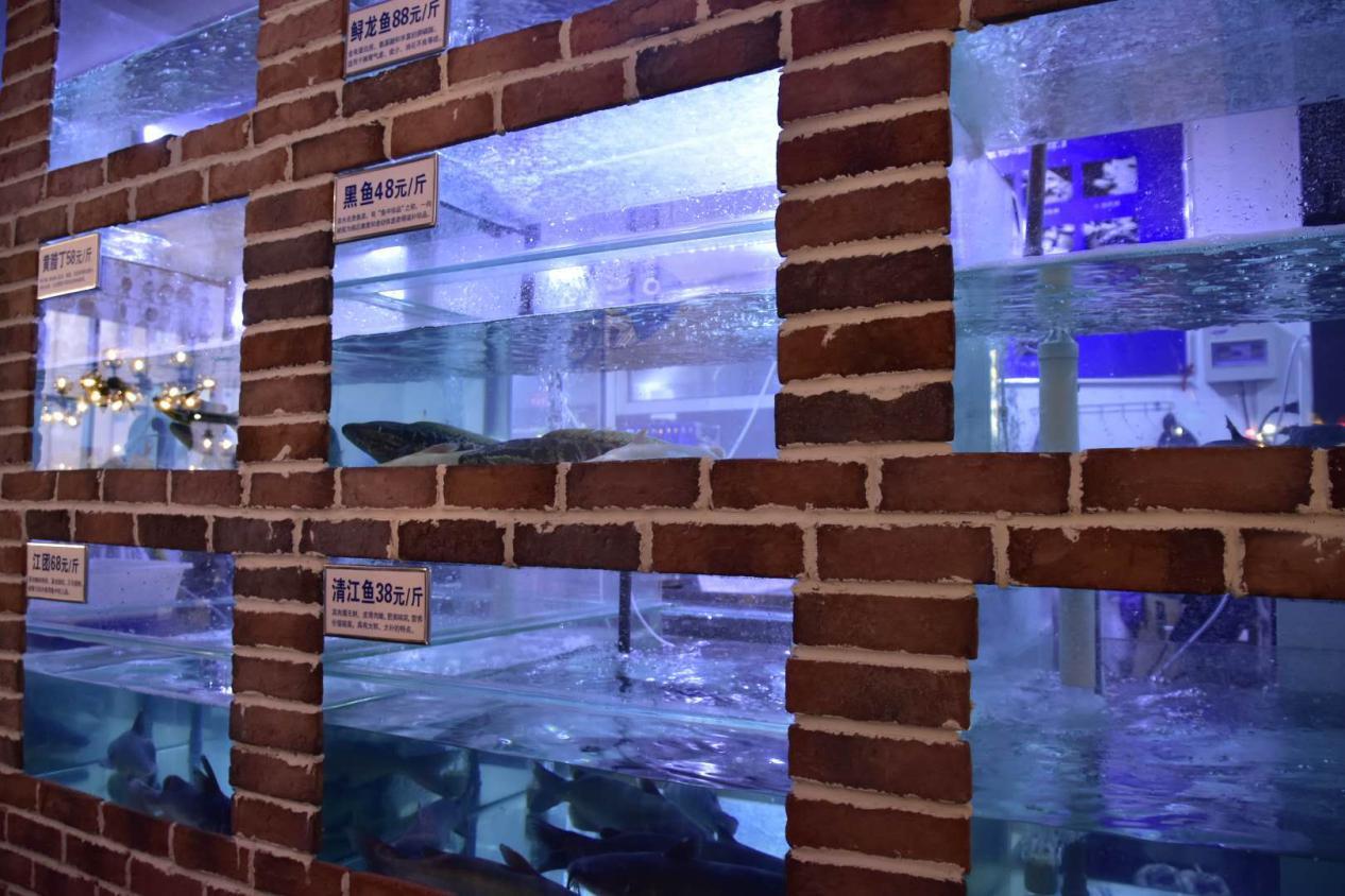 石家庄荣鼎ZooMall“吃货”齐聚，与萌宠和美食完美邂逅！