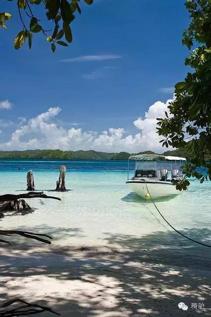 帕劳最新政策消息,帕劳现在怎么样了