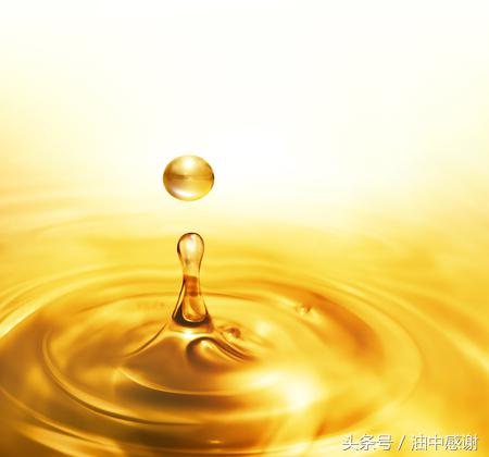 怎么知道车适合加什么油,怎么知道加的油是不是乙醇汽油