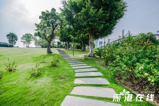 深圳湾公园有什么好玩的地方,深圳湾公园好玩吗