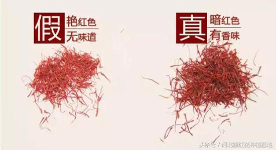 藏红花的味道有一股塑料味,藏红花的味道和功效