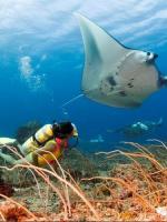 帕劳最新政策消息,帕劳现在怎么样了