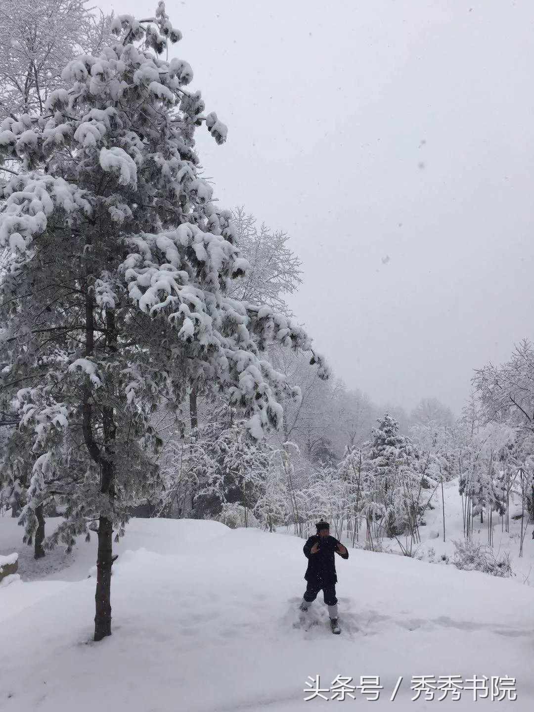 茶道养生课视频教程,茶道养生全集视频