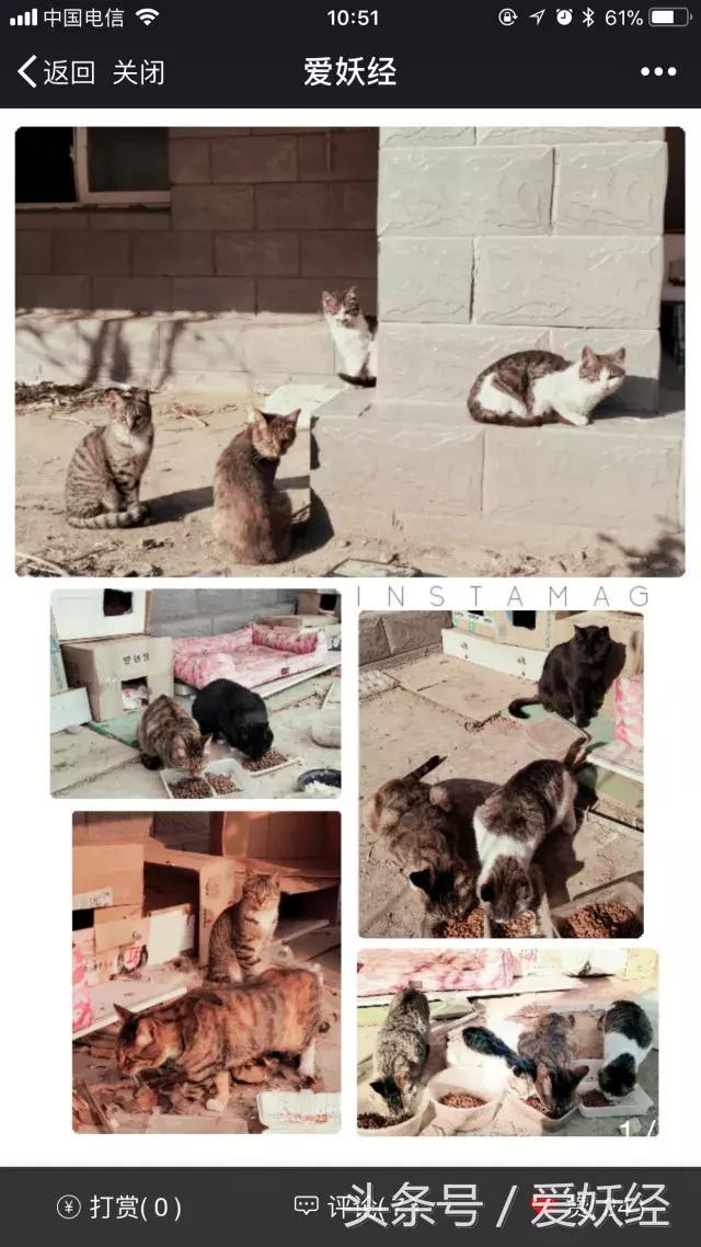 爱妖经陪你过暖冬｜爱要有你才温暖