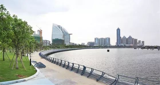 去湛江必去吃的生蚝,湛江生蚝美食之旅