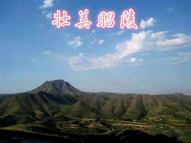 豹子老虎打工记｜壮美昭陵