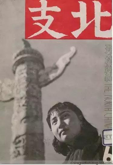 古人夏天如何养鱼,古人养鱼