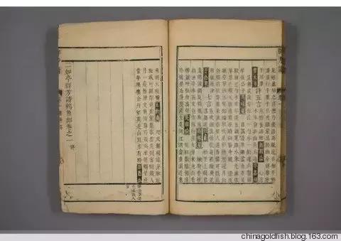 古人夏天如何养鱼,古人养鱼