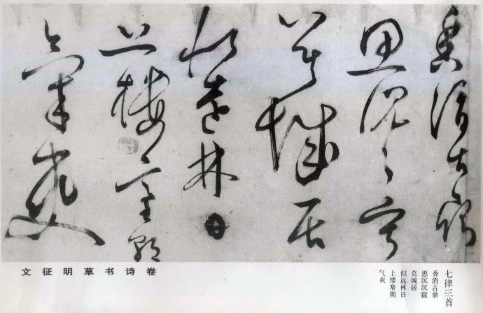 罕见书法作品欣赏,罕见文征明小楷