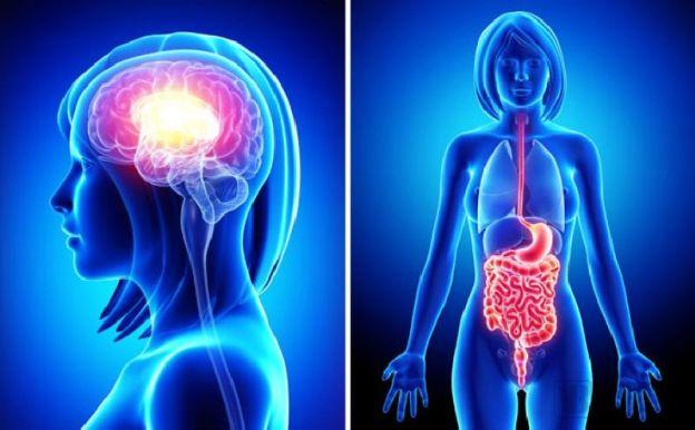 微生物最基础知识,微生物行业分析