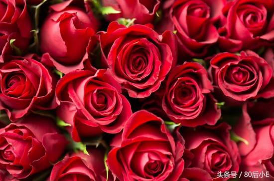 常见花的花语大全简单常见,常见花语大全50种花的花语