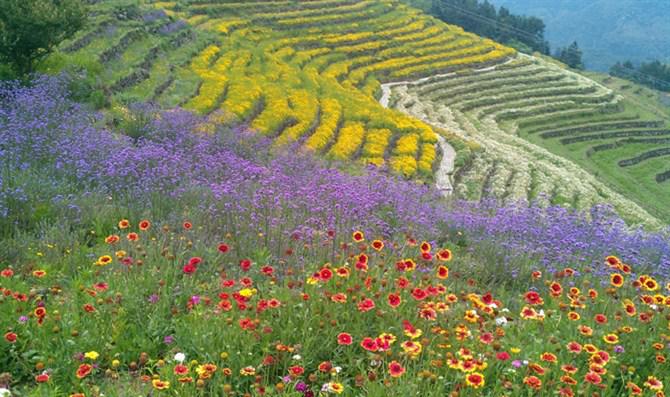 探索美丽的香格里拉,探索福建别墅