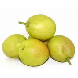 从新疆带什么特产给老人,送礼新鲜玩意