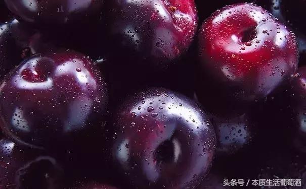 葡萄酒里面有哪些水果,喝葡萄酒前一定要知道的那些事
