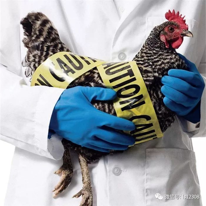 提醒:赴马尔代夫、日本、新加坡、非洲、澳洲、俄罗斯等国请注意