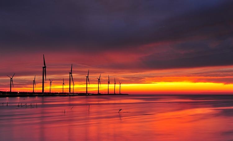 假期又有新去处了!高美湿地:摄影师的创作天堂、娱乐天地