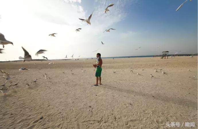 阿联酋迪拜免签,阿联酋迪拜对中国免签吗