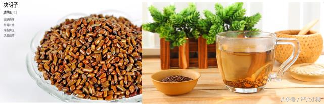 每日代茶饮之决明子篇