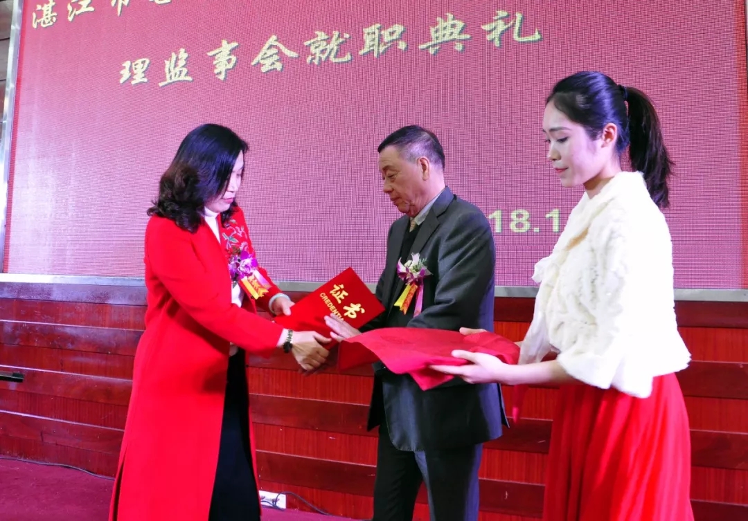 电白景色合集,电白风景