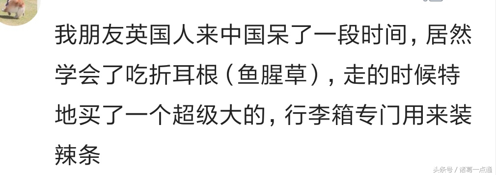 老外中国式的生活方式,外国人独特生活方式