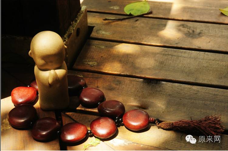 菩提本无树，果实作文玩