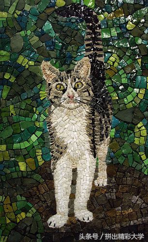 漂亮的贝壳的饰品,贝壳美丽饰品