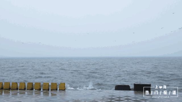 上海17号线东方绿舟,上海17号线附近游玩