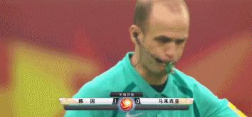 足球场上猫狗进球,足球场上进球场面