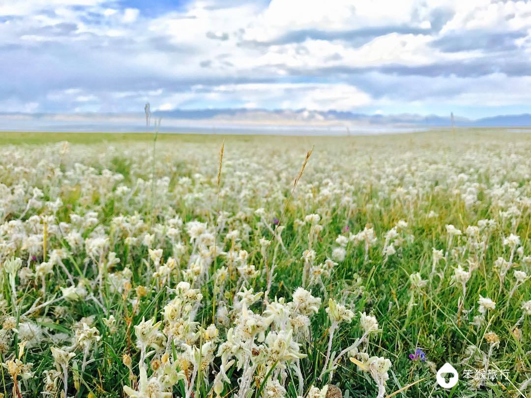 这里曾是中国领土，被誉为「中亚瑞士」，游客3天拿到电子签