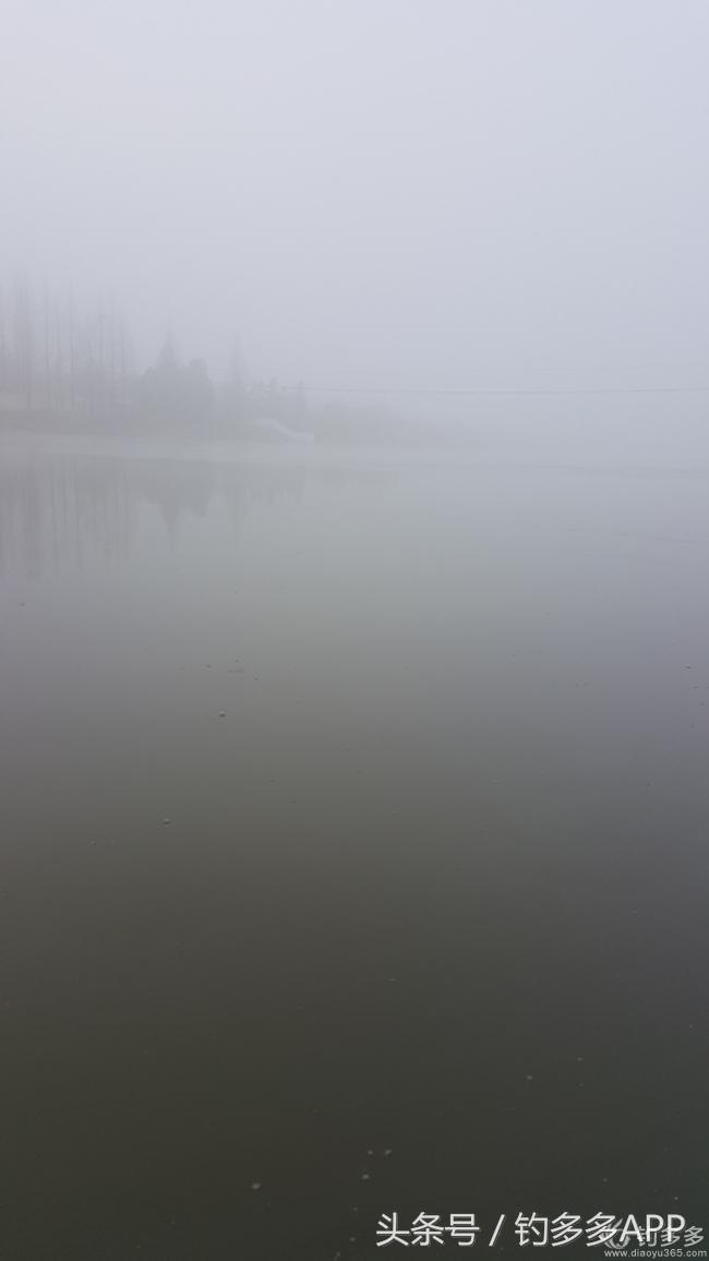 台钓竿双钩,台钓双钩沉底