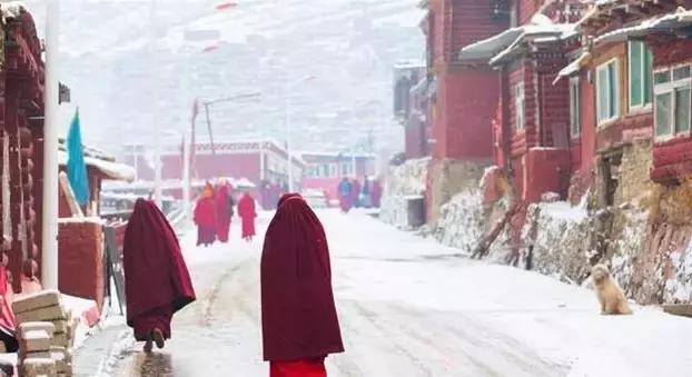 国内2月最美旅行地大推荐,风景线一路美到底(内附游玩线路)!