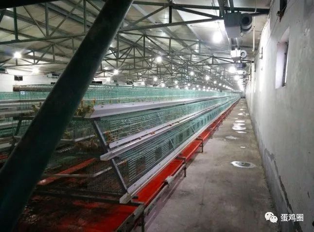 怎样搭建鸡舍方便又卫生,怎样建室内鸡舍图片