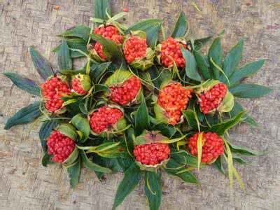 了解药材市场行情走势,药材市场行情预测最新消息