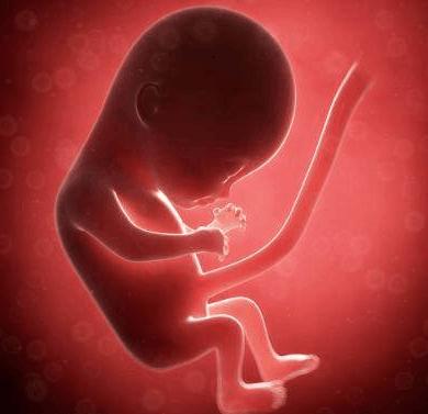 孕晚期出现哪些情况应该立即就诊,孕晚期出现这5种情况