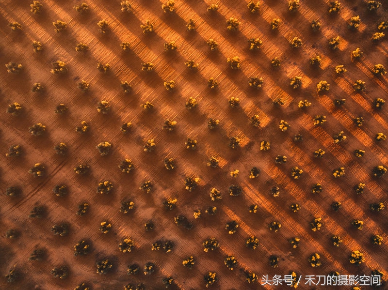 大疆无人机航拍摄影作品,大疆摄影比赛获奖照片图片