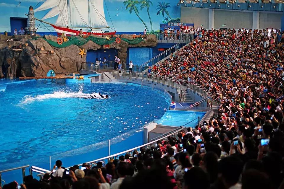 大连春节期间旅游攻略大全最新,大连春节假期攻略