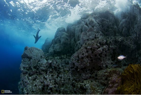 1.27-2.2主题公园一周新闻精选