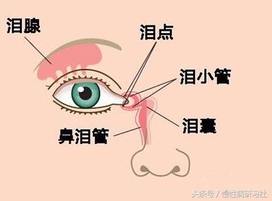 眼角有个针眼大的小孔怎么回事,眼角有一个小孔怎么治疗