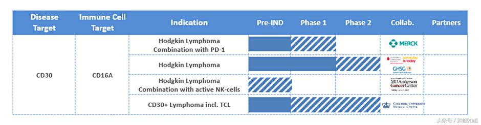 免疫新药AFM13公布早期试验结果，淋巴瘤治疗效果令人期待