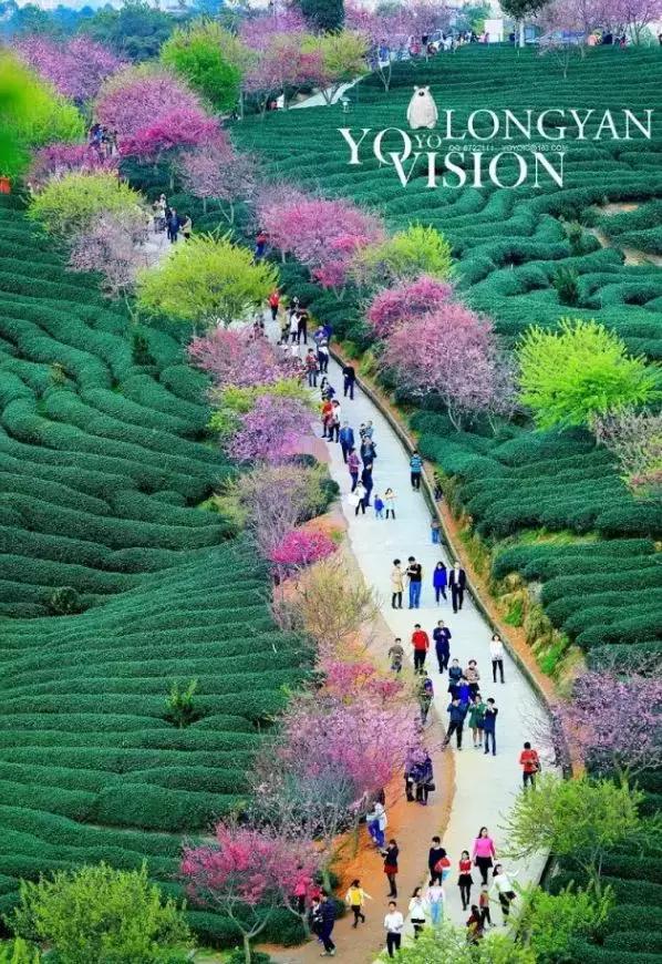 国内2月最美旅行地大推荐,风景线一路美到底(内附游玩线路)!