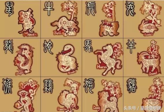 你属什么命,你属什么决定你是什么命