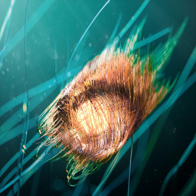 学平面设计有前途吗,美工平面设计有前途吗